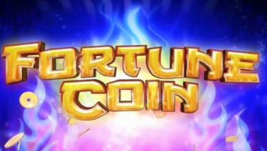 fortune coins slots